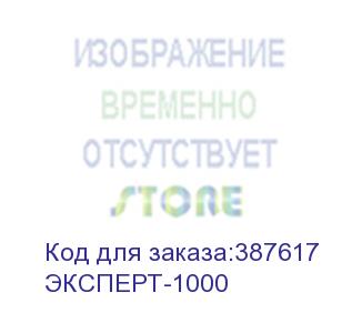 купить источник бесперебойного питания сайбер электро эксперт-1000 онлайн, напольное исполнение 1000ва/800вт. usb/rs-232/snmpslot (2 euro + 1 iec с13) (12в /7ач. х 2)