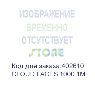 купить лицензия cloud faces 1000 1m ivideon