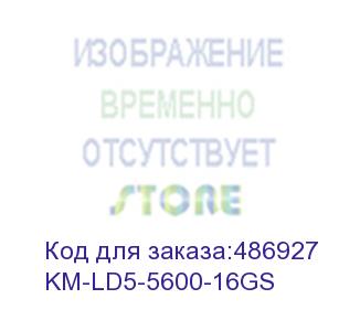 купить оперативная память kingmax km-ld5-5600-16gs ddr5 - 1x 16гб 5600мгц, dimm, ret (kingmax)