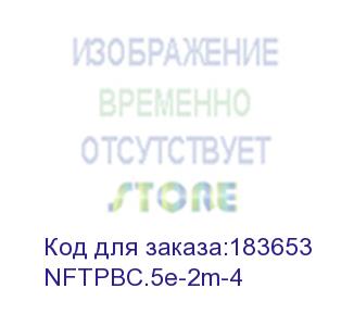 купить патч-корд netko скс ftp4 cat.5e, 2.0м, литой коннектор, красный nftpbc.5e-2m-4