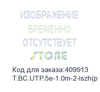 купить патч-корд technolink utp4 cat 5e, 1,0м, вс, серый, lszh (упак 10) (замена 67605) eol (t.bc.utp.5e-1.0m-2-lszh(p)
