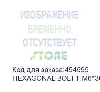 купить зип hexagonal bolt hm6*30mm iron 100pcs (hexagonal bolt hm6*30mm iron 100pcs) absen